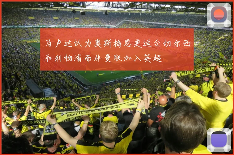 马卢达认为奥斯梅恩更适合切尔西和利物浦而非曼联加入英超